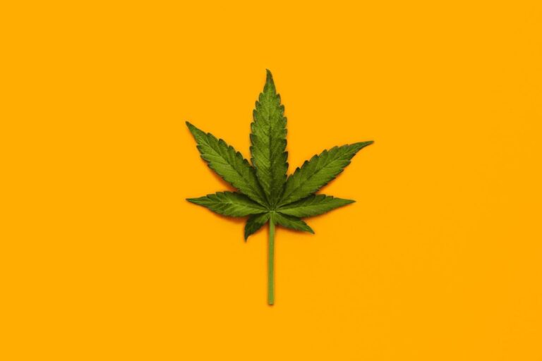 The Unsettling Reality of Medical Cannabis and Its Impact on Mental Health The Unsettling Reality of Medical Cannabis and Its Impact on