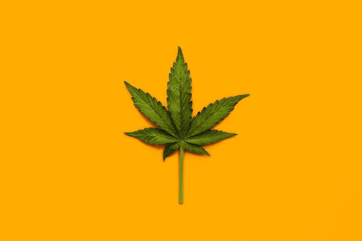 The Unsettling Reality of Medical Cannabis and Its Impact on Mental Health 1 The Unsettling Reality of Medical Cannabis and Its Impact on