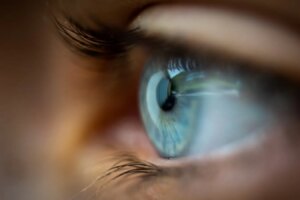 Uncovering the Link Marine Animal Virus Linked to Unusual Eye