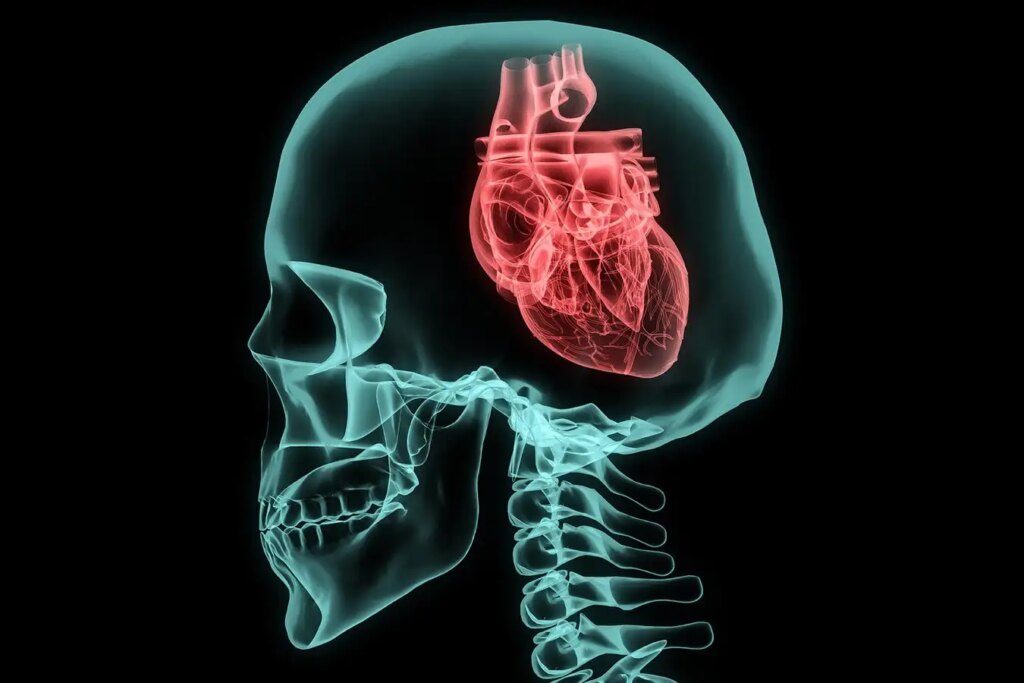 Understanding Heart Rate Fluctuations Insights into Mental Health and Emotions