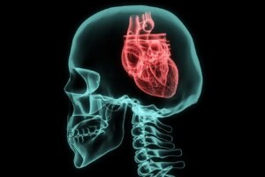Understanding Heart Rate Fluctuations Insights into Mental Health and Emotions