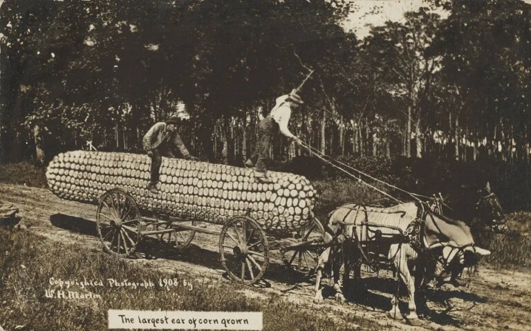 Unexpected Evidence Reveals Fake News Is Not Just a 21st