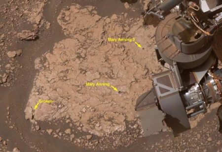 Unveiling Mars The Most Abundant Discovery of Organic Molecules to