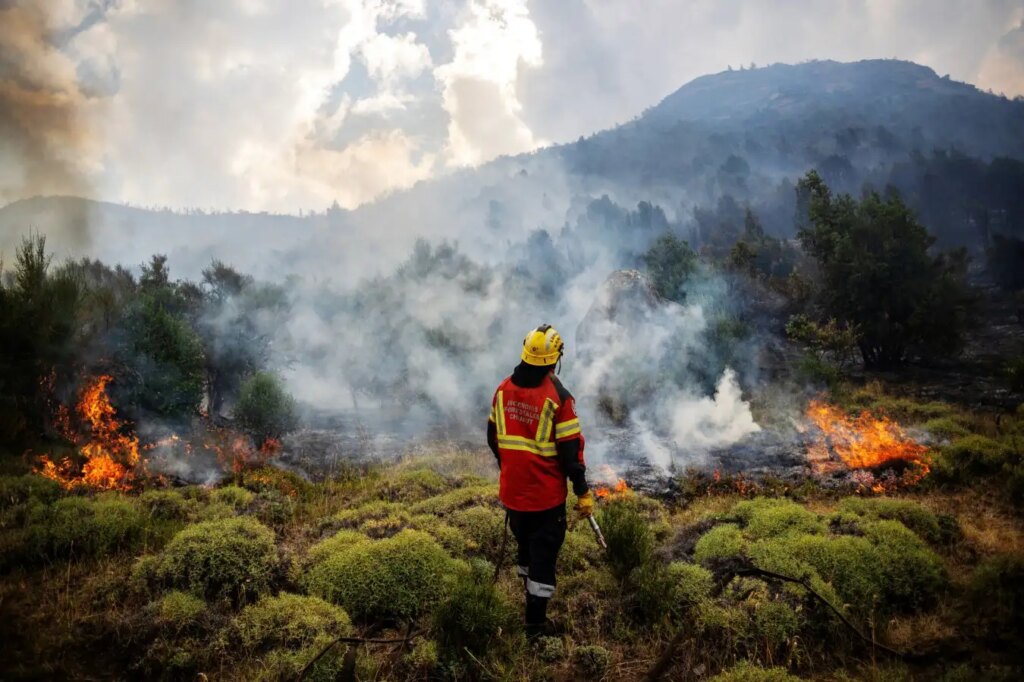 2026 Expected to Be Hottest Year on Record According to