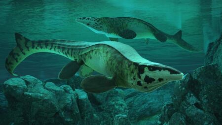 80 Million Years Ago How T rex and Mosasaurs Dominated
