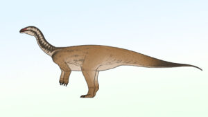 Ancient Sauropod Dinosaur Fossil Discovered in China Insights into Prehistoric