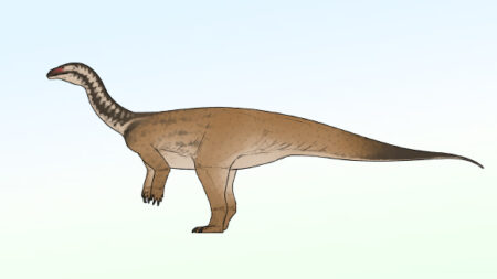 Ancient Sauropod Dinosaur Fossil Discovered in China Insights into Prehistoric