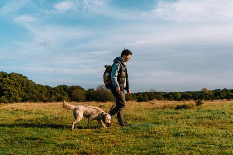 Can Fart Walking Help Manage Diabetes Effectively