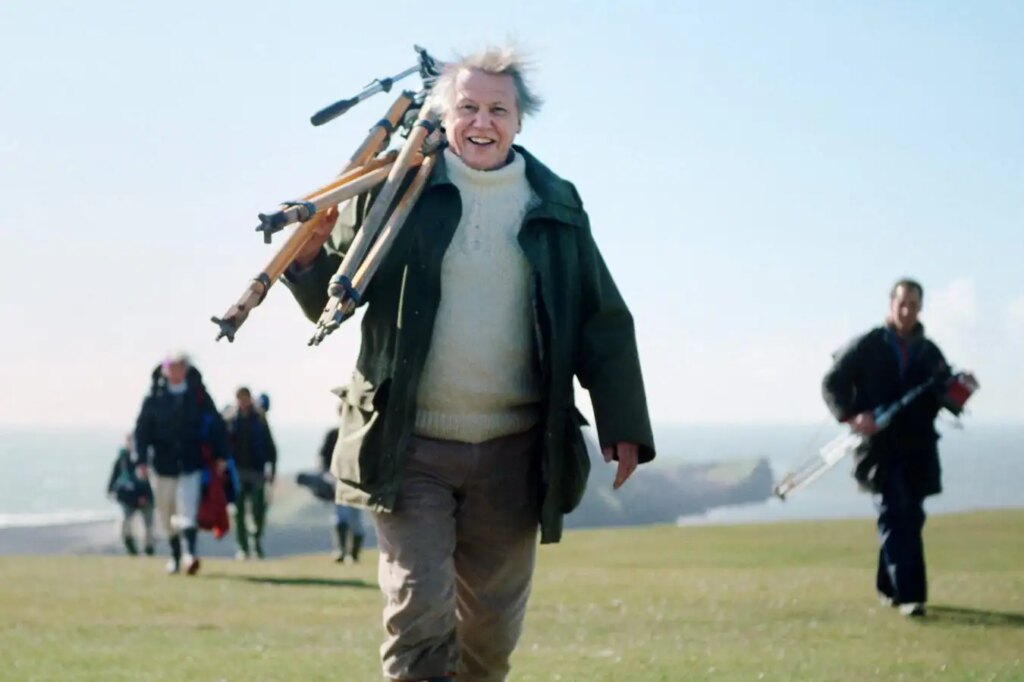 David Attenborough Unique Contributions and Controversies in Nature Documentary