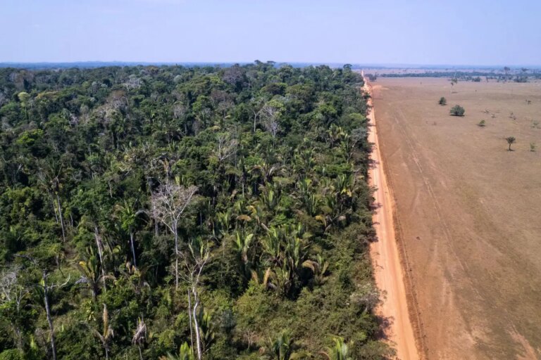 Deforestation Risk Potential Tipping Point for the Amazon Rainforest in