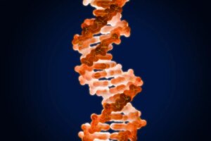 Discover an Excerpt from Richard Dawkins The Selfish Gene at