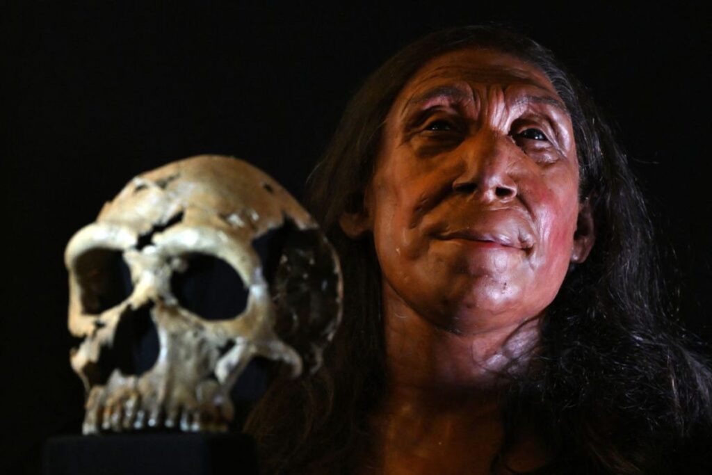 Discovering Dental History The First Known Dentist Was a Neanderthal