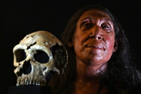 Discovering Dental History The First Known Dentist Was a Neanderthal