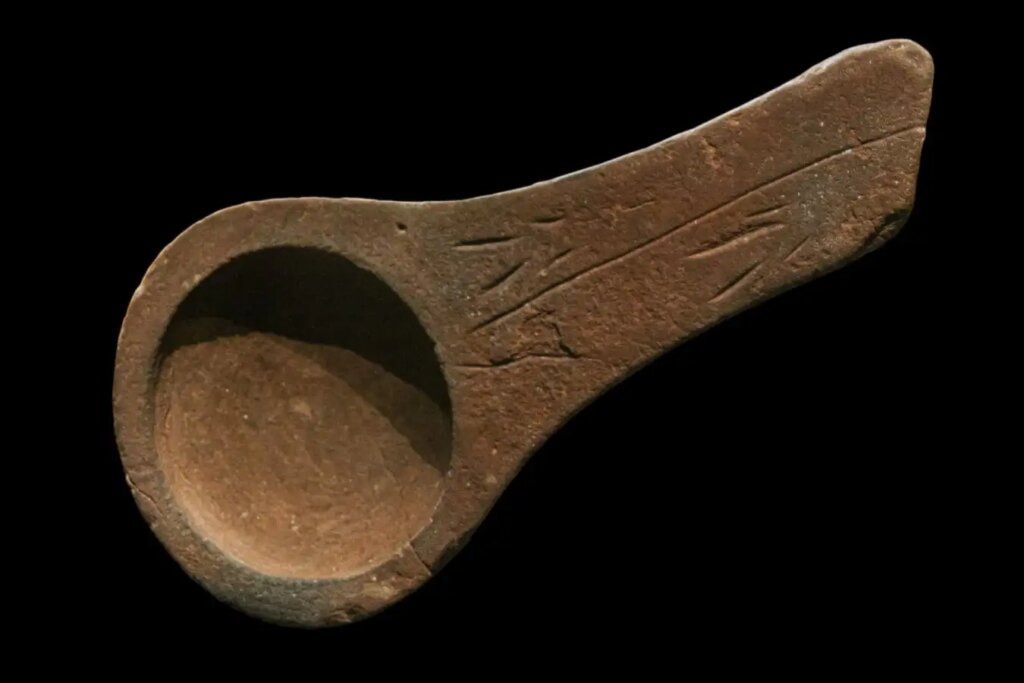 Discovering Humanitys First Tools The Evolution of Simple Containers