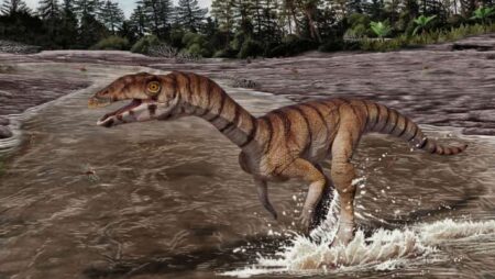 Discovering Toothless Bipedal Crocodile Relatives from 212 Million Years Ago in New Mexico Discovering Toothless Bipedal Crocodile Relatives from 212 Million Years Ago