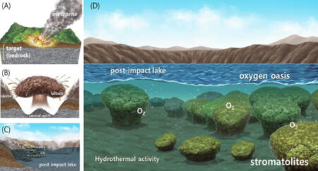 How Ancient Crater Lakes Fostered Ideal Conditions for Earths Earliest