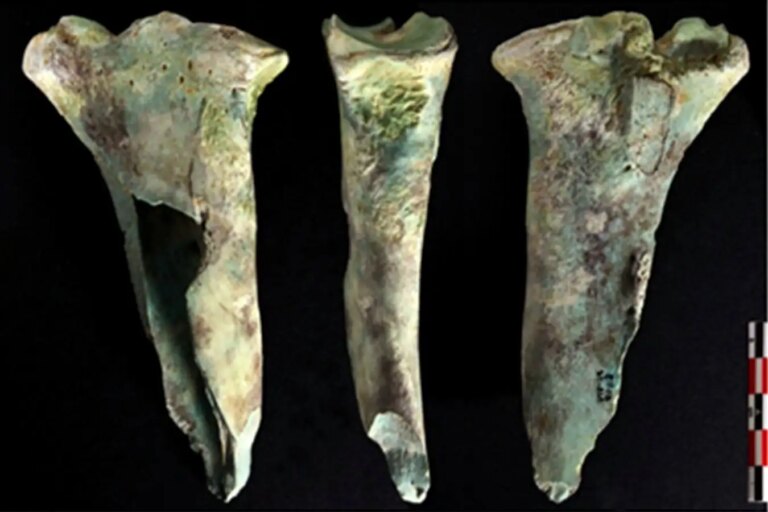 How Bronze Age Britons Crafted Copper Mining Tools from Ancient Bones How Bronze Age Britons Crafted Copper Mining Tools from Ancient