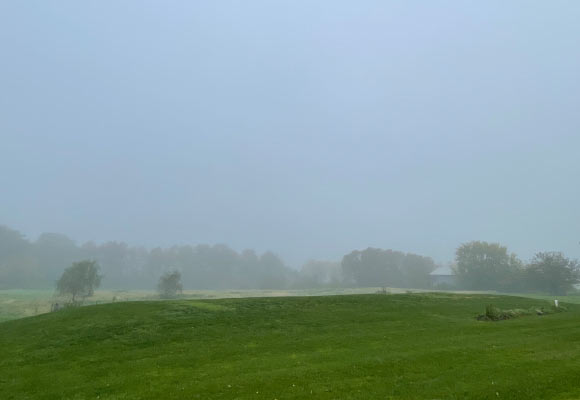 How Tiny Bacteria in Fog Can Help Purify Air Quality