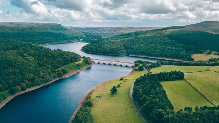 Impact of Land Plants on River Ecosystems: A Comprehensive Analysis – Cyworthy Impact of Land Plants on River Ecosystems A Comprehensive Analysis