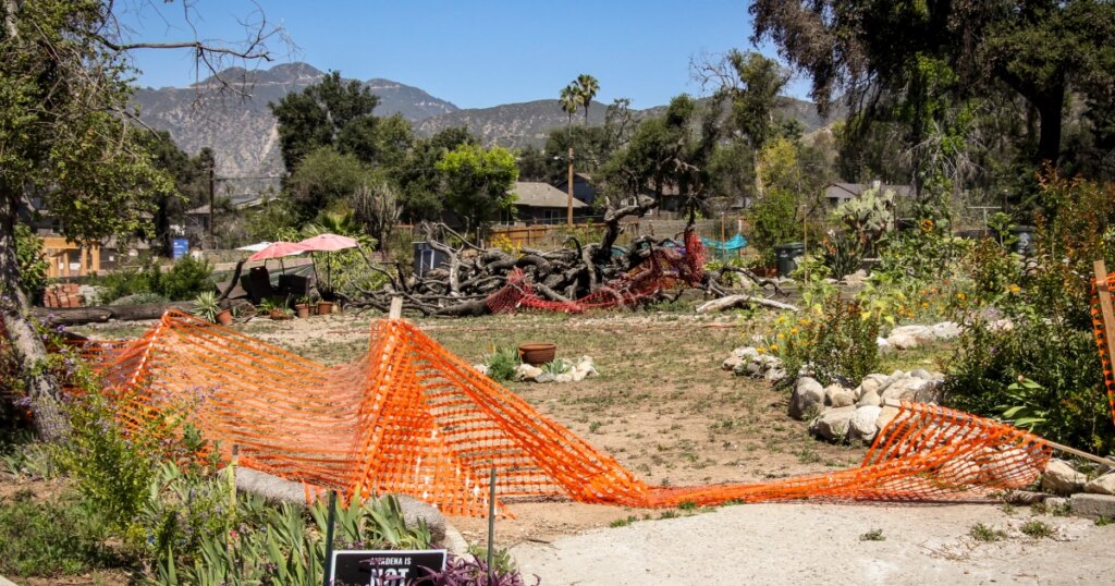 Impact of Los Angeles Area Fires How Pollution is Driving