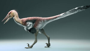 New Dinosaur Species Discovered in Argentina Expert Fisher of the