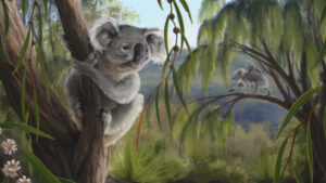 New Koala Fossil Species Discovered in Museum Drawer A groundbreaking