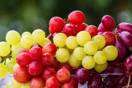 New Study Reveals Benefits of Regular Grape Consumption for Healthy Skin New Study Reveals Benefits of Regular Grape Consumption for Healthy