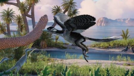 Paleontologists Uncover Archeopteryx Ecology Insights into the Mysterious Survival of