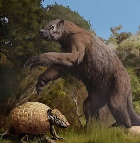 Paleontologists Unearth Ice Age Secrets in Texas Cave Flood Discovery Paleontologists Unearth Ice Age Secrets in Texas Cave Flood Discovery