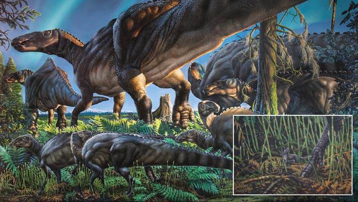 Rodent-Like Mammals Thrived in the Ancient Arctic Before Dinosaur Extinction Rodent Like Mammals Thrived in the Ancient Arctic Before Dinosaur