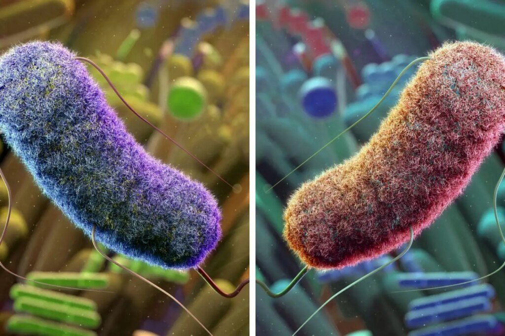 Scientific Dispute: The Risks of Lab-Engineered Bacteria in Mirror Life Research Scientific Dispute The Risks of Lab Engineered Bacteria in Mirror Life