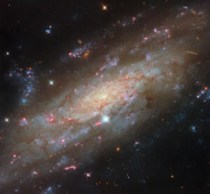 Stunning Hubble Image NGC 3137 Spiral Galaxy Brimming with Brilliant