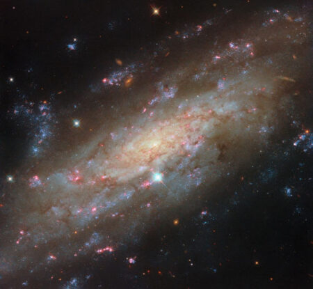 Stunning Hubble Image NGC 3137 Spiral Galaxy Brimming with Brilliant