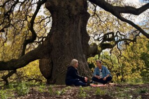 Suzanne Simard Explores the Wood Wide Web Connections and Avatars