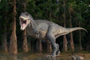 Unraveling the Mystery: Why Tyrannosaurus and Other Dinosaurs Evolved Small Arms Unraveling the Mystery Why Tyrannosaurus and Other Dinosaurs Evolved Small