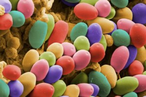 Alzheimers Patient Experiences Remarkable Speech Recovery with Psilocybin Treatment