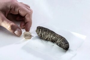 Ancient Philosophers Hidden Writings Rediscovered from Unreadable Scrolls