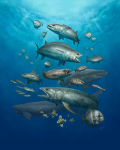 Discover Early Paleocene Fish Fossils: Bridging the 10 Million-Year Gap Post-Dinosaur Extinction Discover Early Paleocene Fish Fossils Bridging the 10 Million Year Gap
