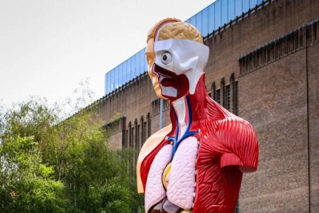 Discover Organ Speak Julia Enders In Depth Exploration of Our Organs