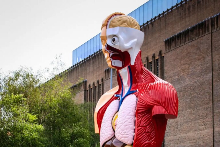 Discover Organ Speak Julia Enders In Depth Exploration of Our Organs