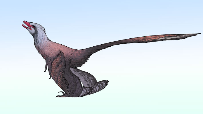 Discover a New Feathered Dinosaur from China Featuring a Peacock-Like Tail Discover a New Feathered Dinosaur from China Featuring a Peacock Like