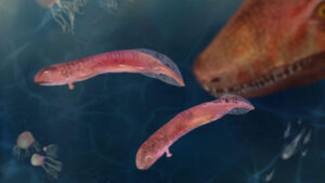 Discovering Earths First Land Animals Surprising Facts Beyond Amphibians