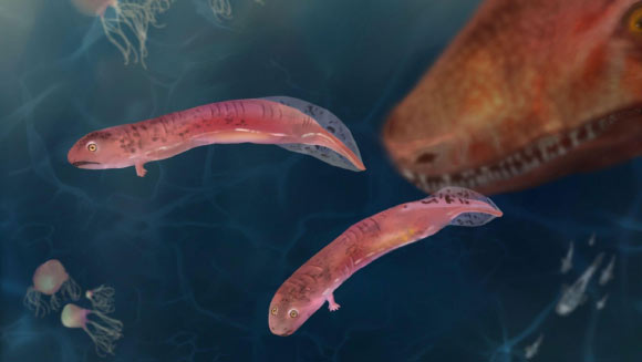 Discovering Earth’s First Land Animals: Surprising Facts Beyond Amphibians Discovering Earths First Land Animals Surprising Facts Beyond Amphibians