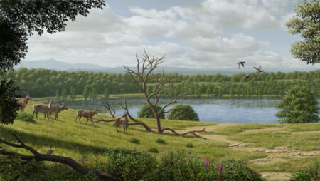 Discovering Europes Half Ton Cow Ancestors Four Million Years Ago