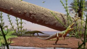Exploring Brazils Ancient History 240 Million Years Ago a Crocodile
