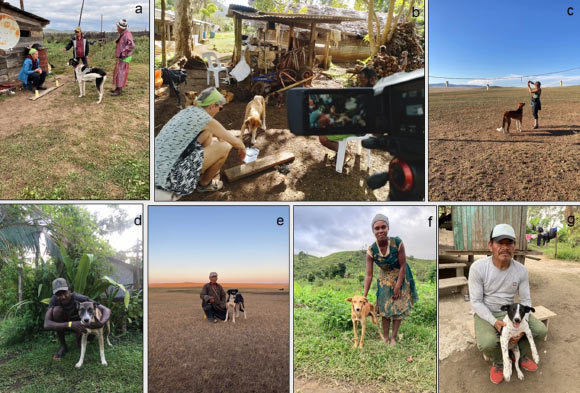 Exploring the Ancient and Universal Bond Between Humans and Dogs: Key Findings from Recent Study Exploring the Ancient and Universal Bond Between Humans and Dogs