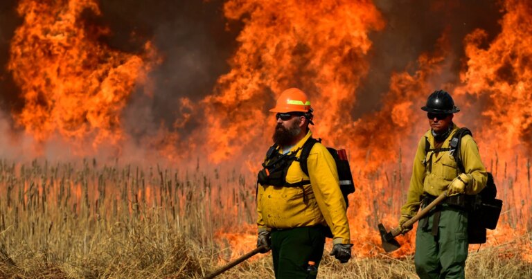 Federal Firefighters to Adopt N95 Masks in Significant Policy Change Federal Firefighters to Adopt N95 Masks in Significant Policy Change