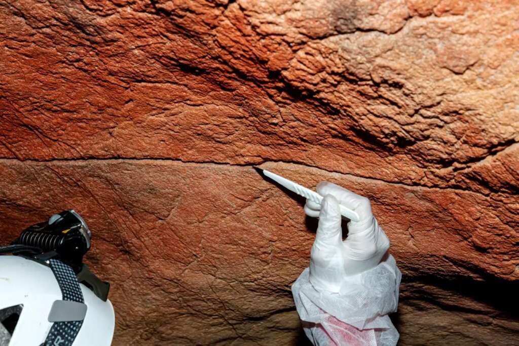 First Discovery of Ancient Human DNA in Cave Paintings Insights