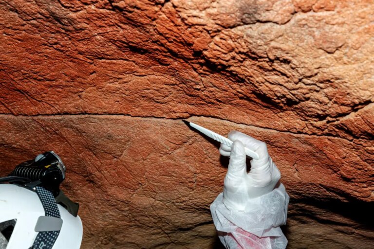 First Discovery of Ancient Human DNA in Cave Paintings Insights