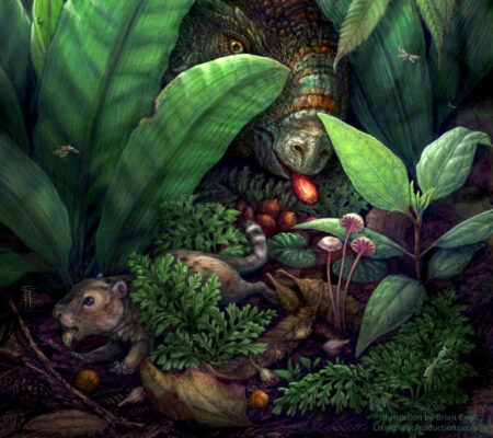 Flowering Plants Flourished Before Dinosaur Extinction Asteroid Impact